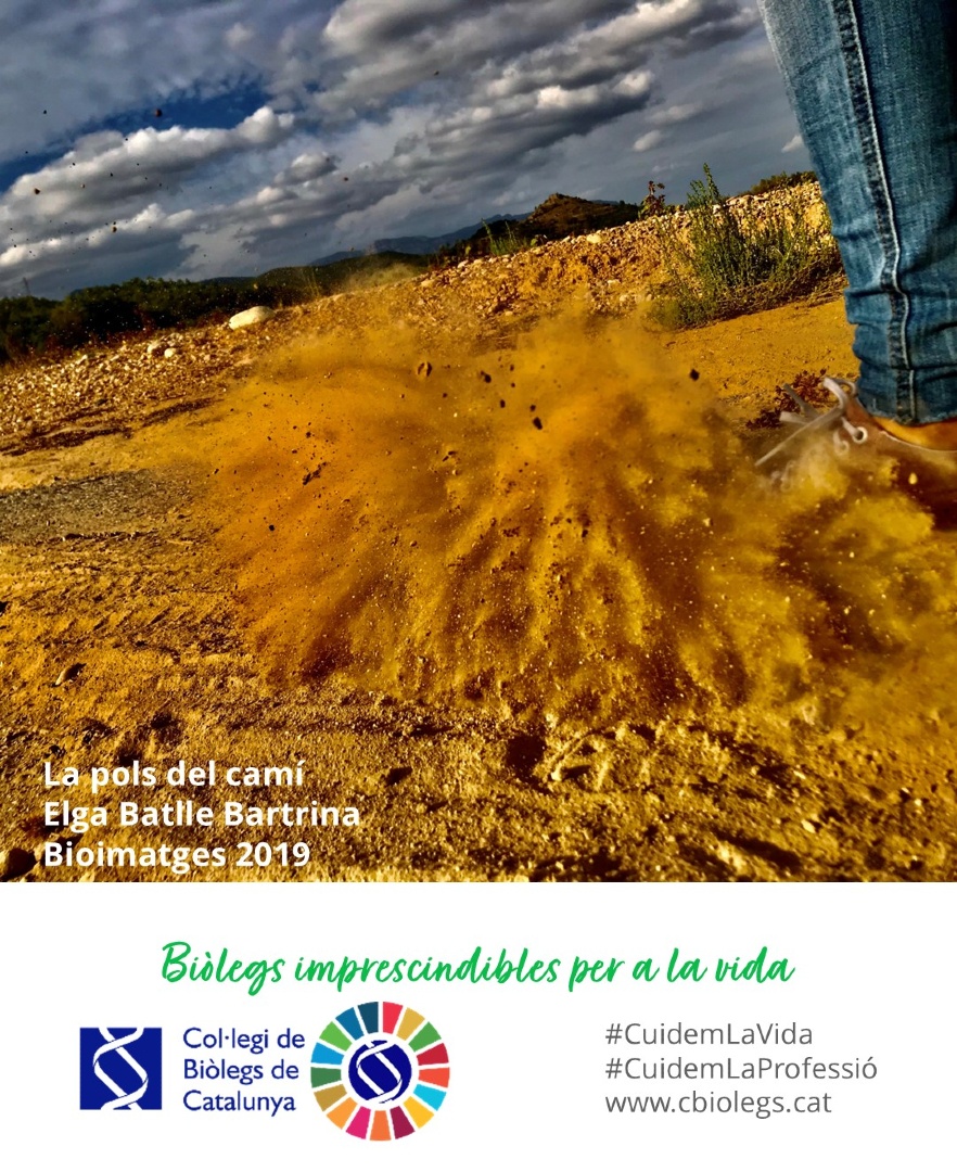 BiolegsCAT's tweet image. Biòlegs i Biòlogues,
Acabem la setmana, i comencem una altra amb unes temperatures una mica baixes ❄️
Com va el fred❓
Us deixem aquesta #Bioimatges per traslladar-hos a unes altres temperatures 🤠

👍 Descanseu, gaudiu i cuideu-vos

#biòlegscat 
#cuidemlavida 
#cuidemlaprofessió