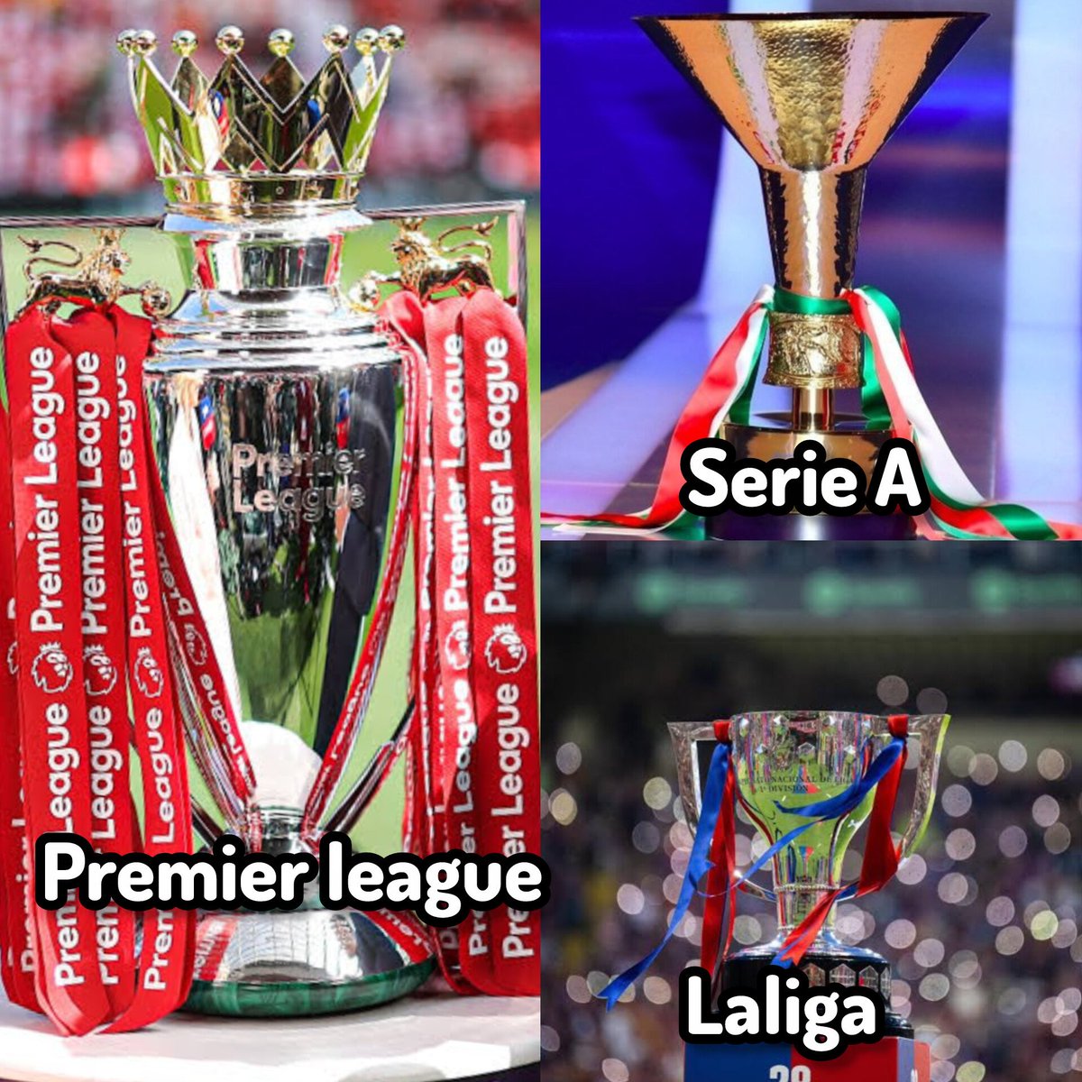 Mention 2 players that have won the premier league, Laliga and Serie A trophy.