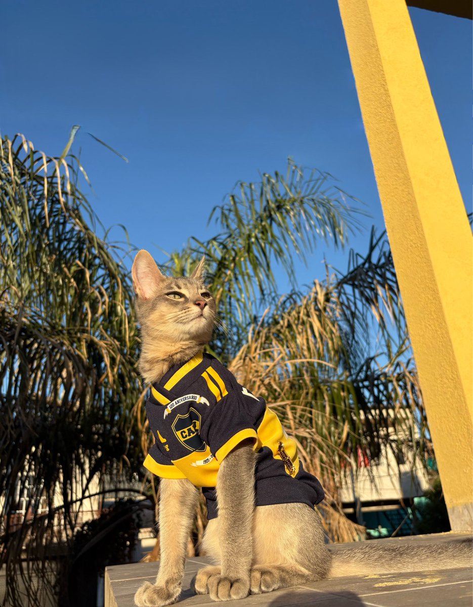 martidenise_'s tweet image. farmea aura el tipazo