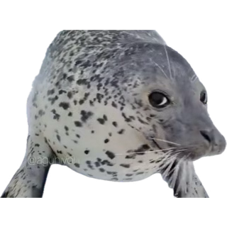 💗Strawb💗 tweet media