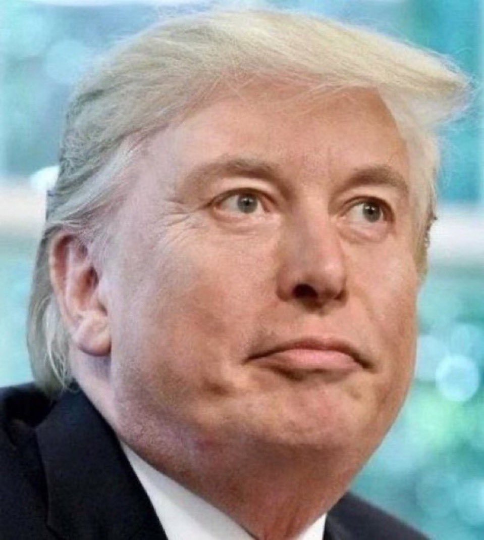 yakkweb3's tweet image. you have heard of an elf on the shelf, now get ready for... 🤝