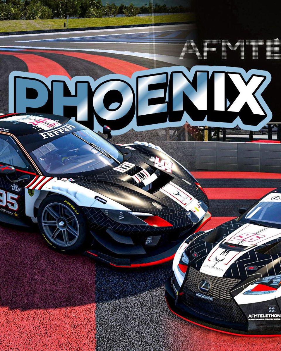 IRON PHŒNIX RACING tweet media