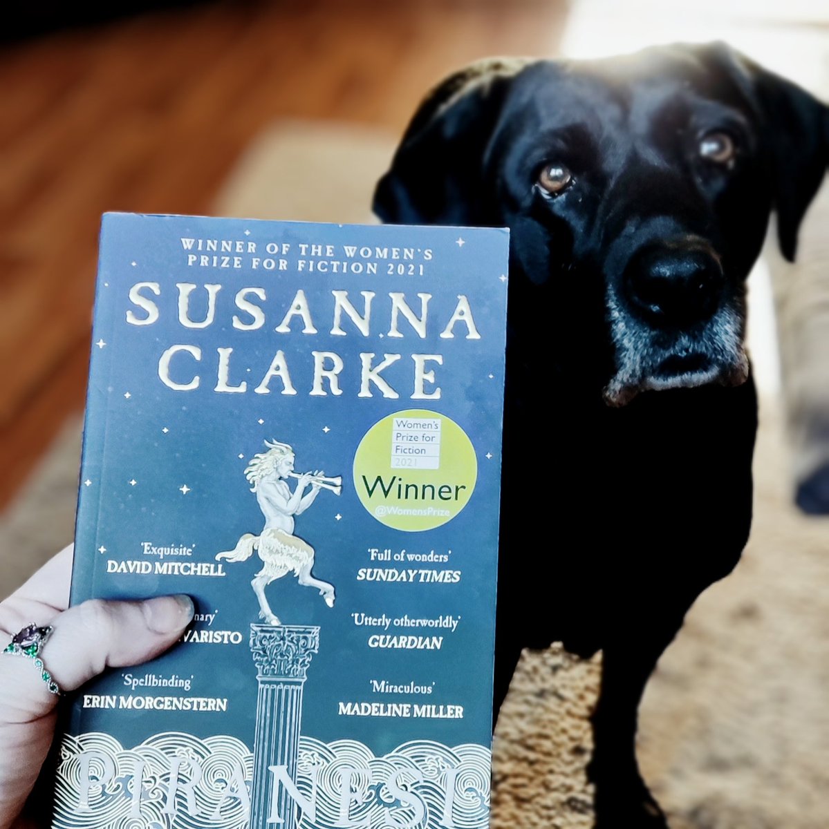 im_nat_ok's tweet photo. cr: piranesi, ft. the pup! https://t.co/p4DbCogHVa