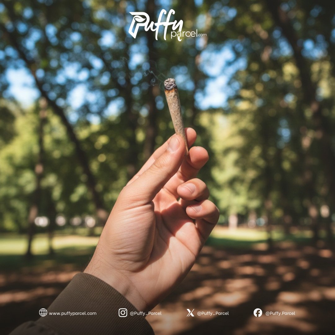 Puffy_Parcel's tweet photo. Outside hits always hit different. Likeโฆ nature be seasoning the smoke. ๐
#PuffyParcel #NatureSession #DailyRoll https://t.co/wm4Gv9ODQI
