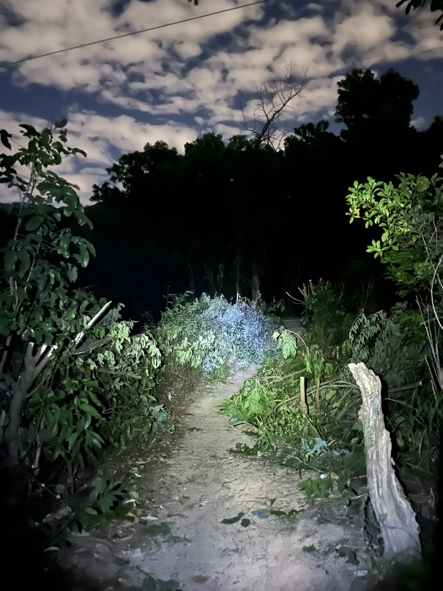 高压电线塔底下砍树