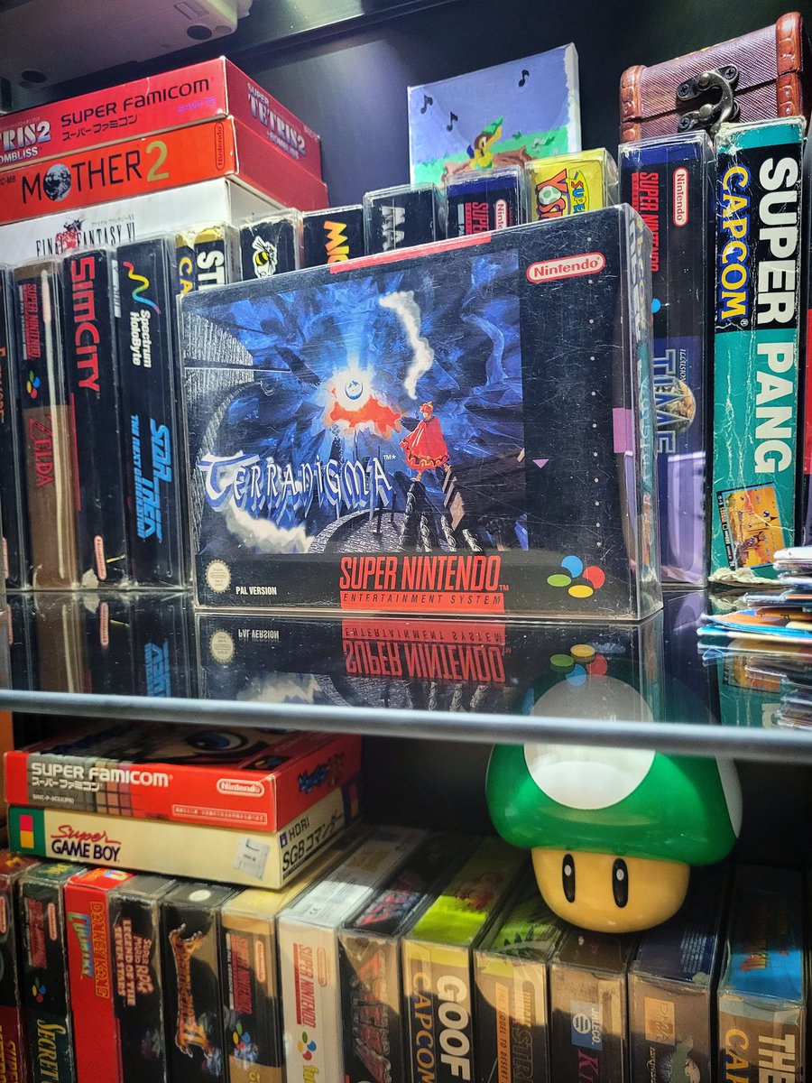 elin ✿ tweet media