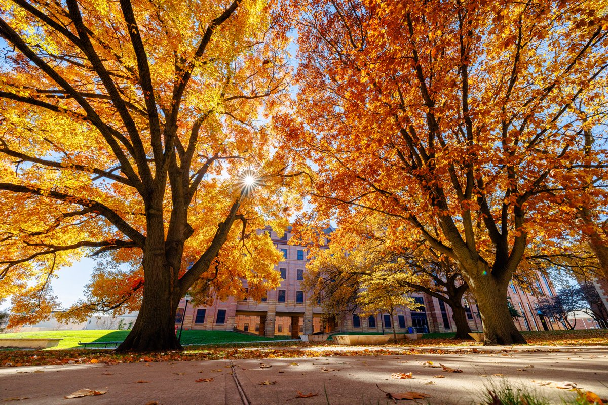 Happy fall break, Redbirds! 🍂 If you’re planning a trip to TechZone, stop by today! We will be closed Saturday, November 22, through Sunday, November 30.

We’ll be back to our regular hours on Monday, December 1. Have a wonderful break!