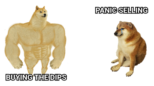 SwogeOnBonk_'s tweet image. Stay $Swoge 💪