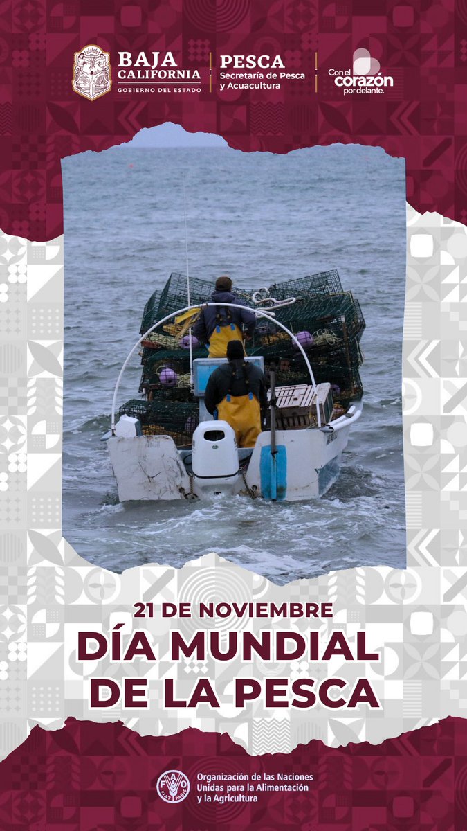El 21 de noviembre se conmemora el Día Mundial de la Pesca, una fecha establecida por la FAO en 1998, misma que hacemos propicia para reiterar el compromiso de trabajar con y para este importante sector de Baja California.