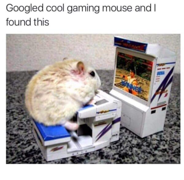 WholesomeMeme's tweet image. 