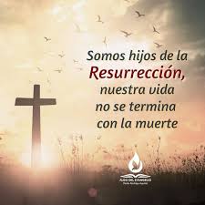 P. Antonio Rivero, LC (@padreantoniolc) on Twitter photo 