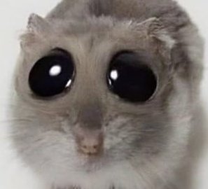 DaBreezyKipar's tweet photo. @mikochan_dm2 No sé si estaba esperando demasiado para ser HH, pero creo que nunca antes me sentí tan inconforme con un final de temporada https://t.co/Lkk9ghIe3y