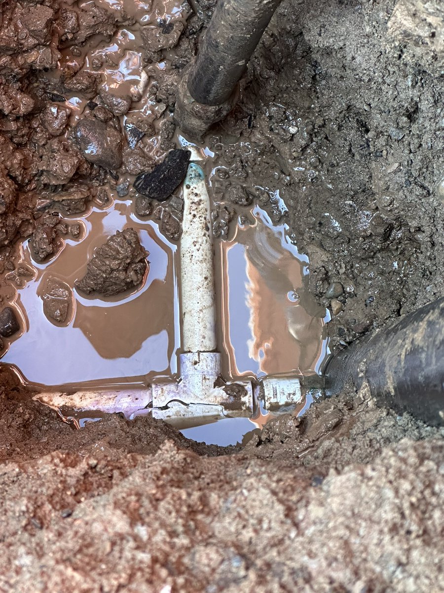 Todd Llewellyn tweet media