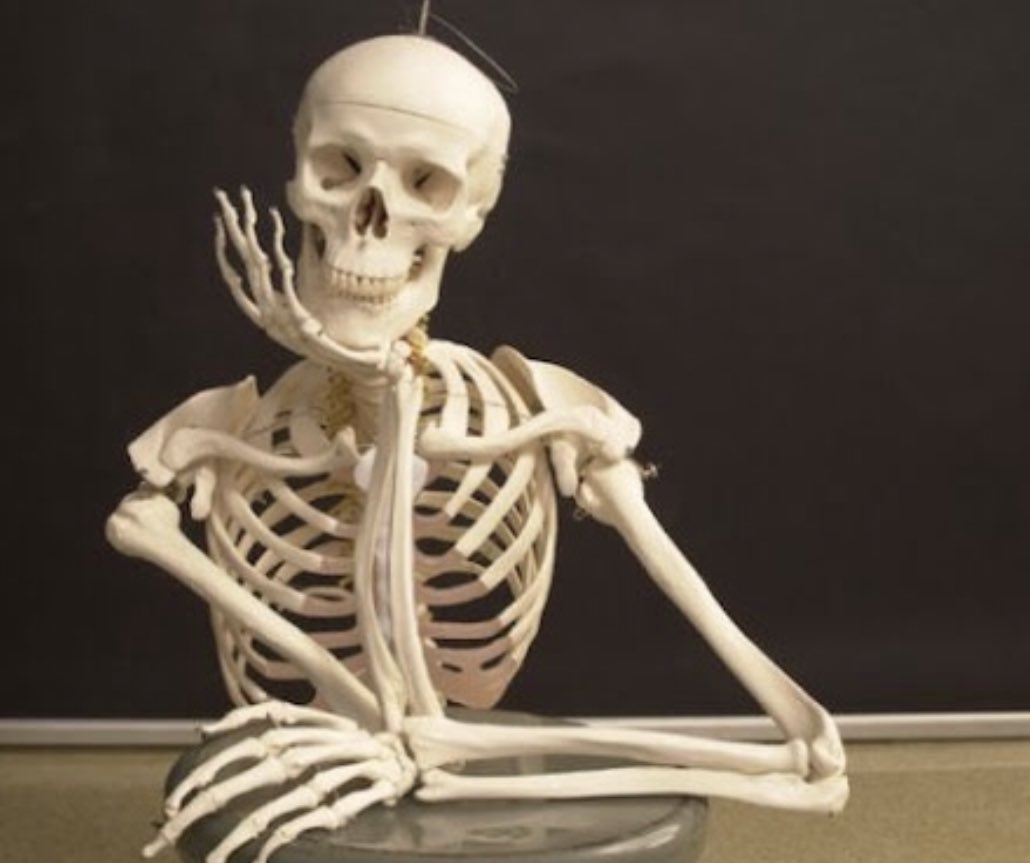 sehammokthar99's tweet image. 