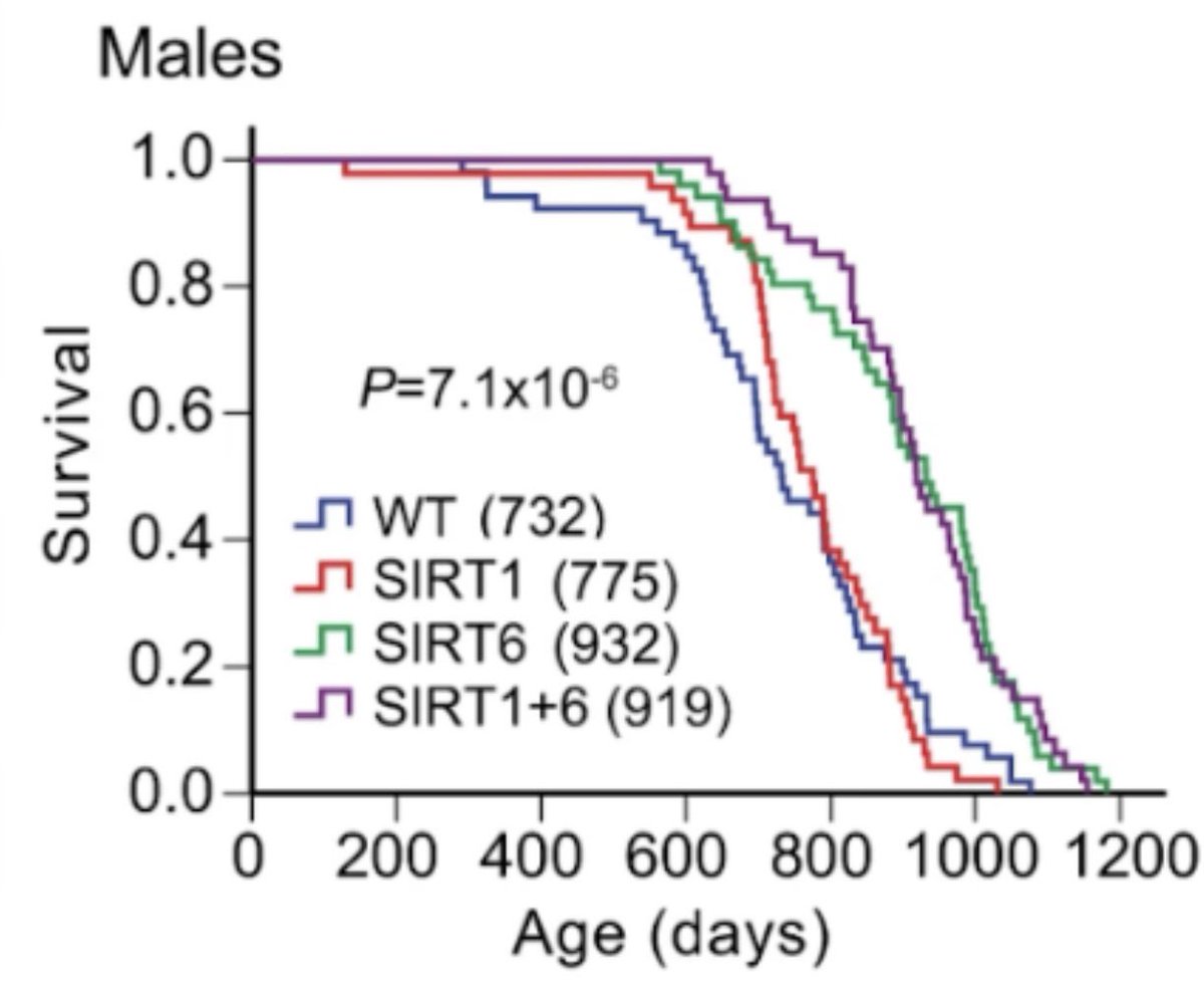 David Sinclair tweet media