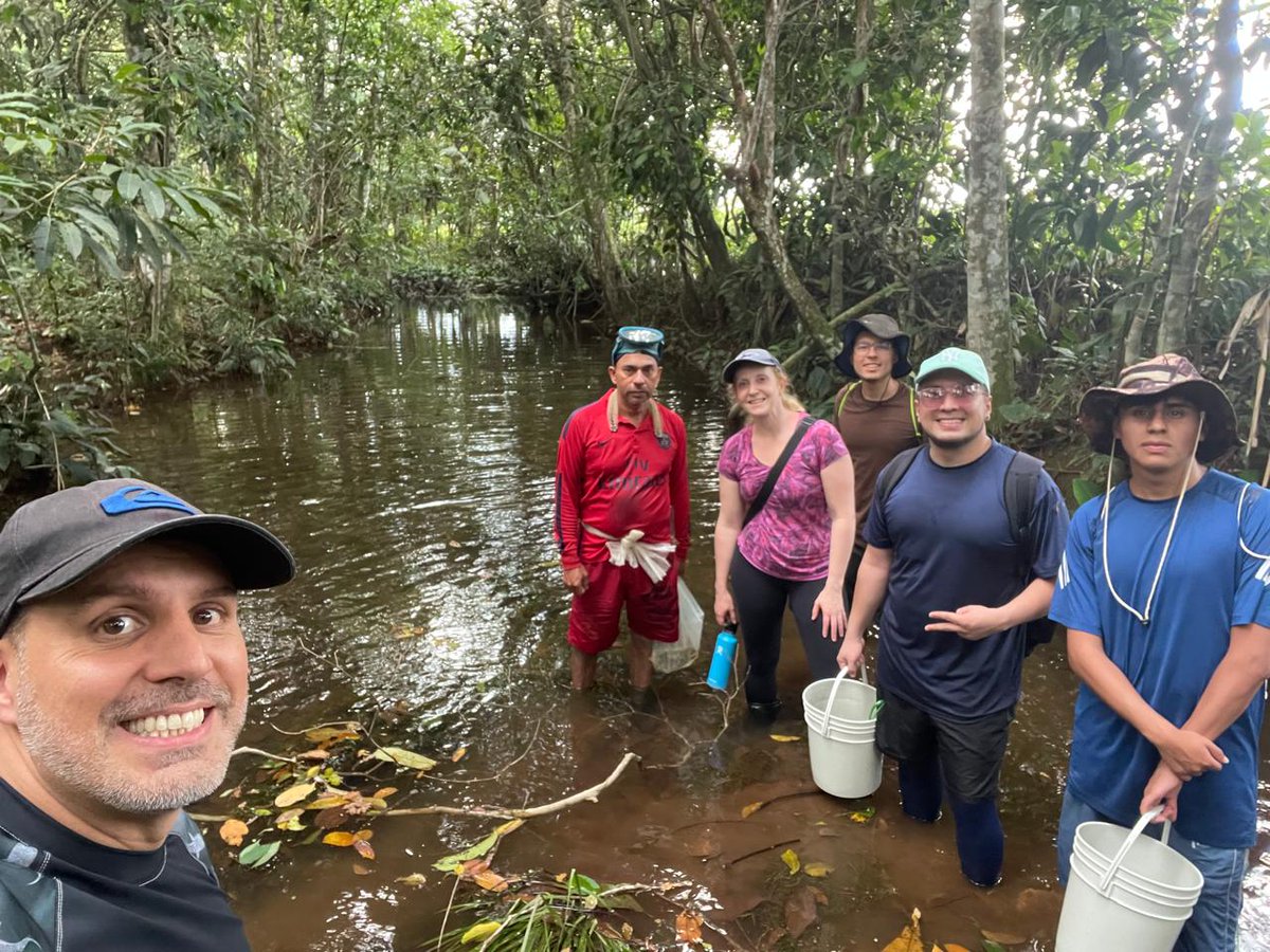 Invitamos a leer la nota publicada en el periódico El Tiempo, basada en la investigación que llevó a cabo el  biólogo Camilo Rafael Jiménez Vergara, bajo la dirección de los profes del Depto de Biología UN, Mario Monroy y Andrea Tonolli. eltiempo.com/vida/ciencia/b… <a href="/CienciasUNALBog/">Facultad de Ciencias - Universidad Nacional</a>