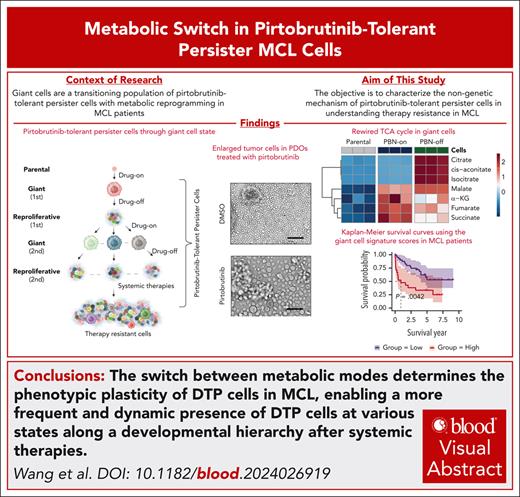 BloodPortfolio's tweet image. The reversible fate of pirtobrutinib-tolerant persister cells in MCL is determined by the TCA cycle mode switch. Read the full article in Blood: ow.ly/6CUR50XuQyp #MCL #BloodJournal