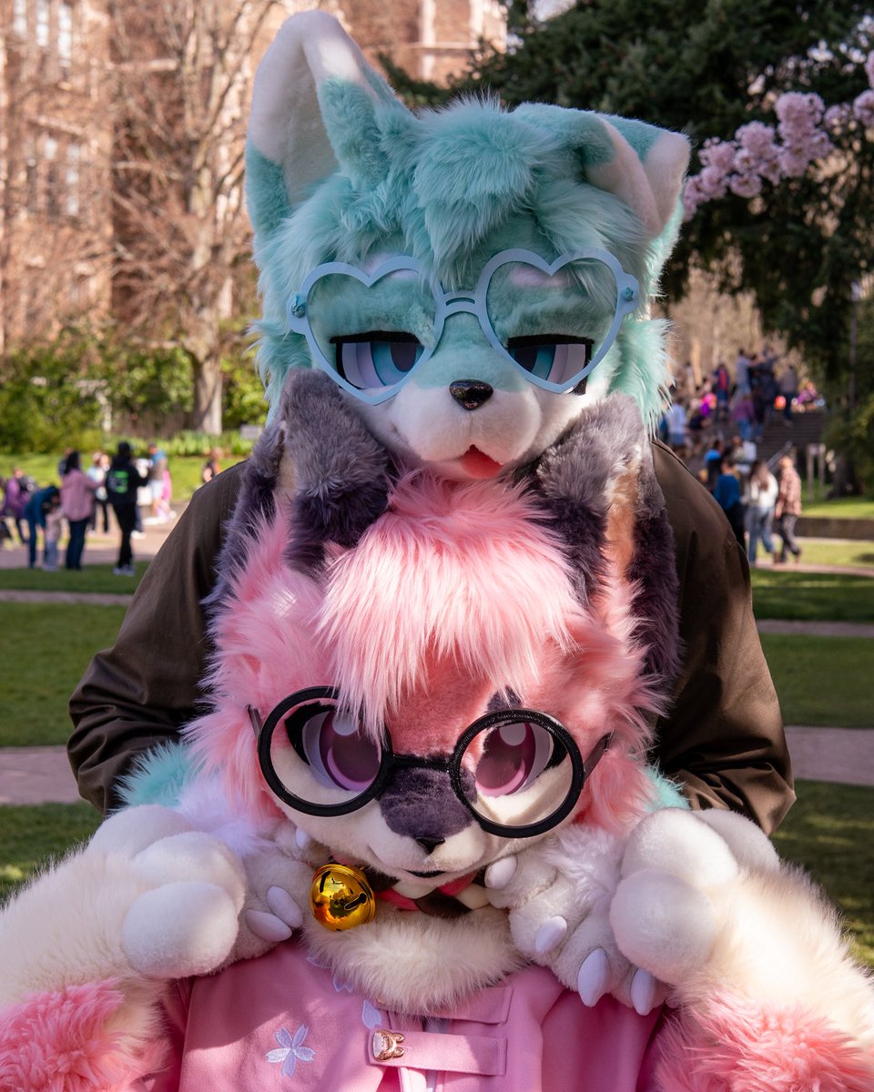 the height #fursuitfriday