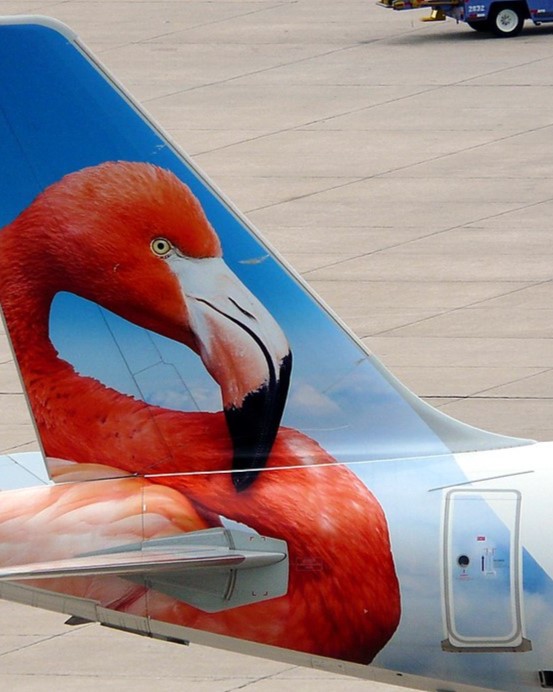 This Frontier Airlines aircraft is giving major #TCIAA vibes! 🦩✨ Direct flights from Atlanta to Providenciales are coming soon!

🗓️ Launch Date: December 20, 2025

#TCIAA #Providenciales #TravelToTurksandCaicos #FrontierAirlines