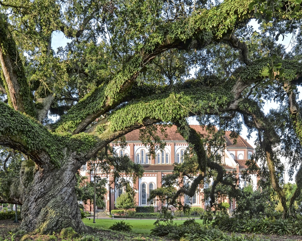 Lafayette, Louisiana tweet media