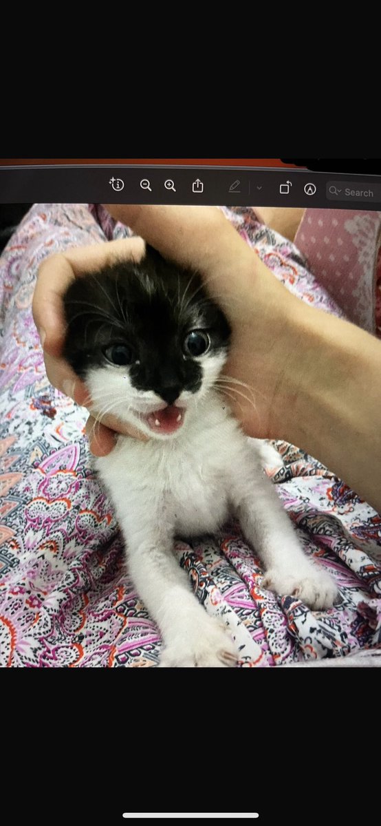 Fight3R16🌊RIVER tweet media