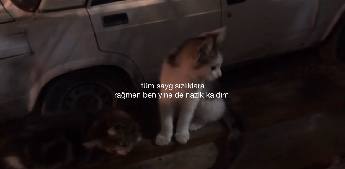 ezgi (@bisalsanbee) on Twitter photo 