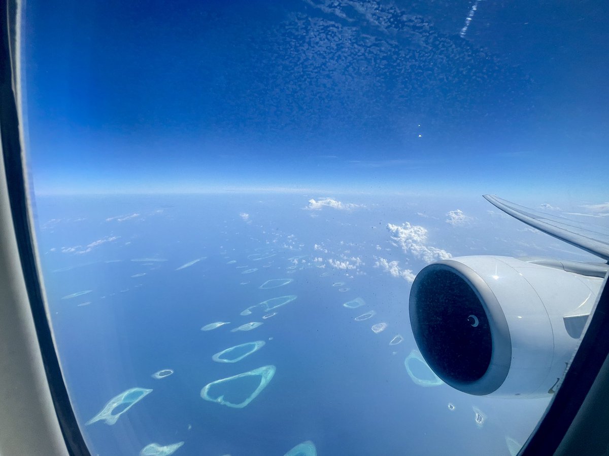 Jon Taylor tweet media