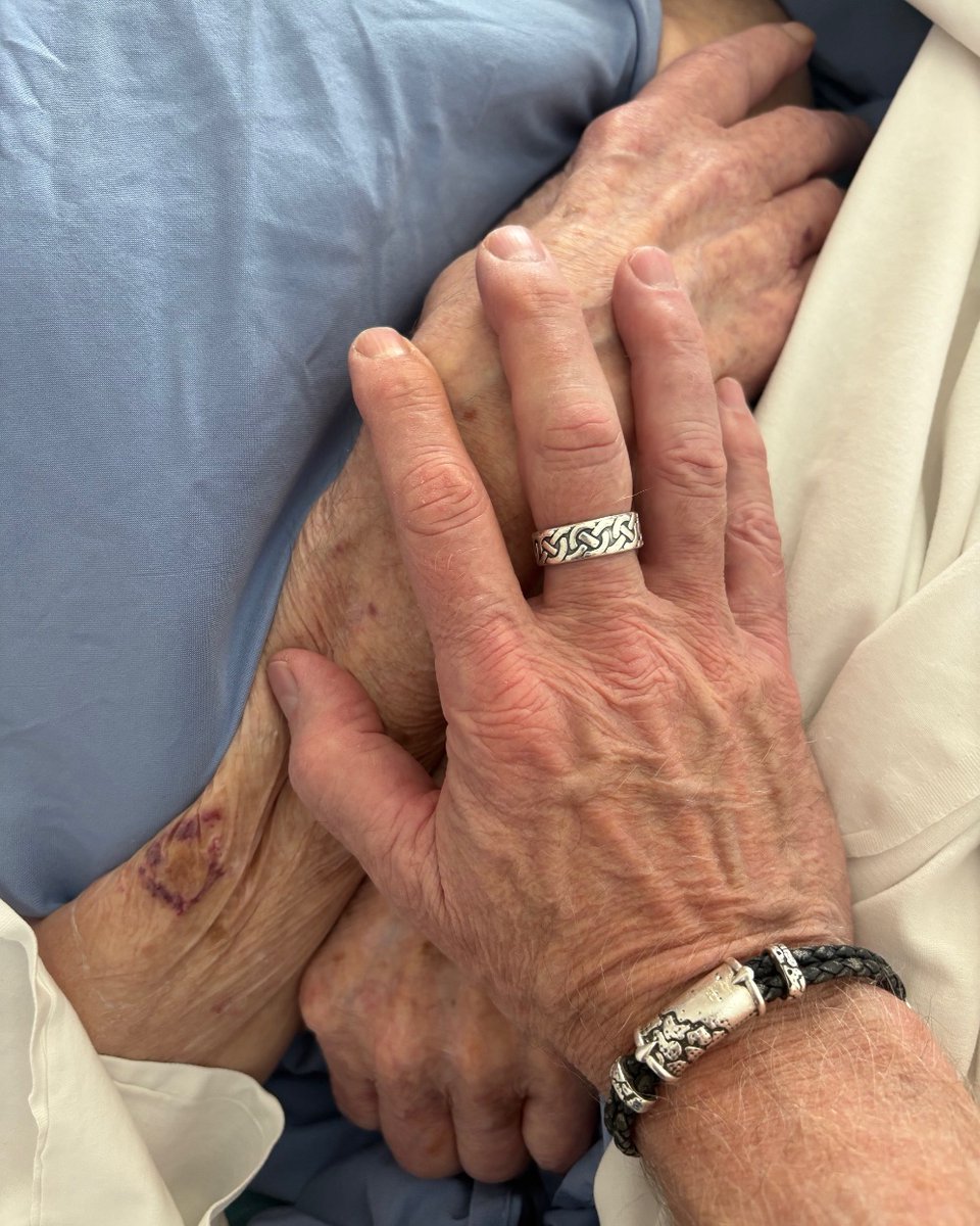 David Hayward | Artist tweet media