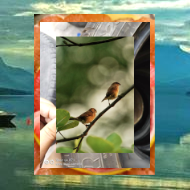 jonbrees.base.eth tweet media