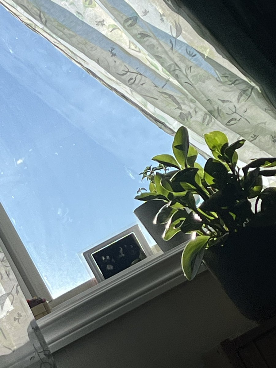 Sometimes all it takes is a little bit of sunshine to feel a little bit warmer