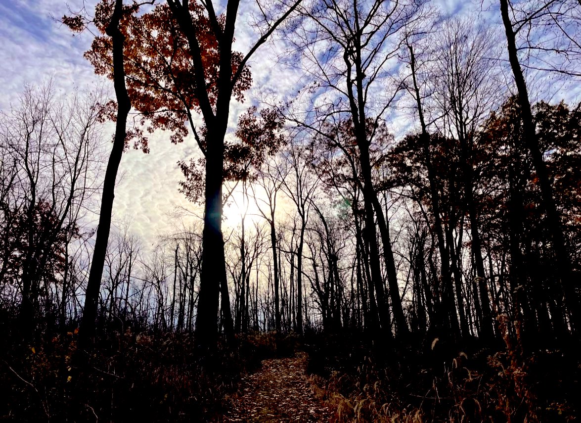 Trail run time - the weekend is here