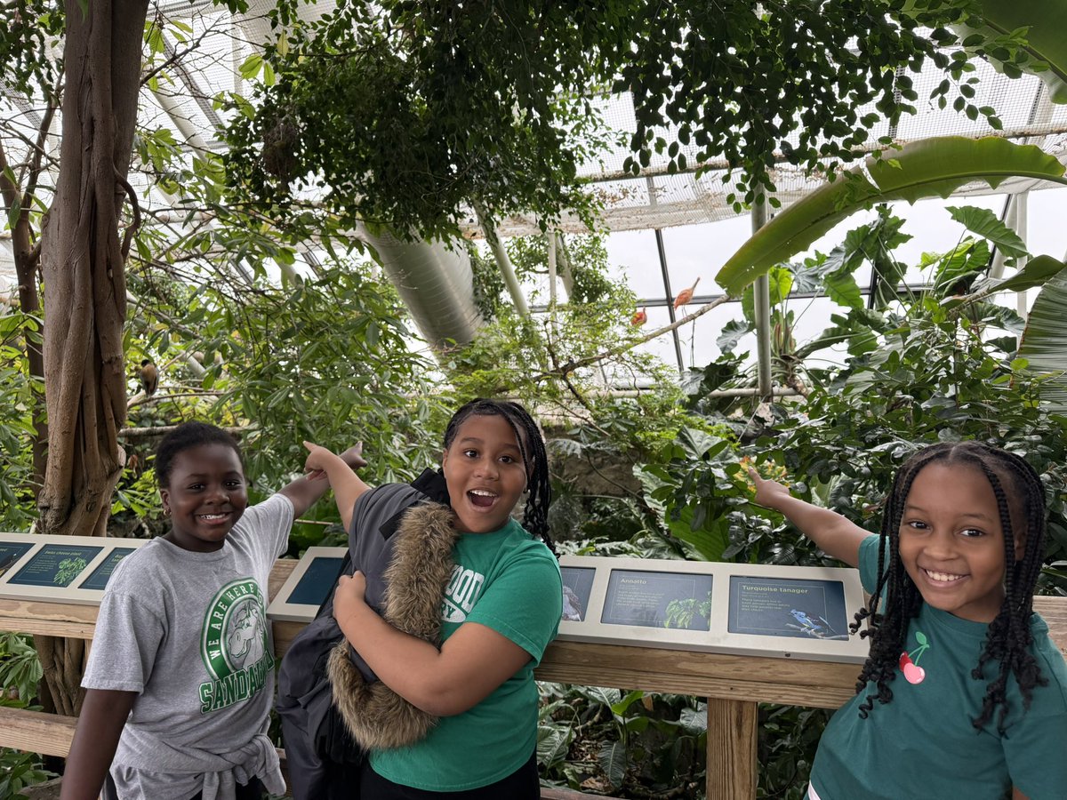 mrsament's tweet image. Yesterday our 4th graders went to the National Aquarium to build background knowledge ahead of their Turtle Trouble Science Unit! #CommunitySchools #enrichment #scienceoflearning