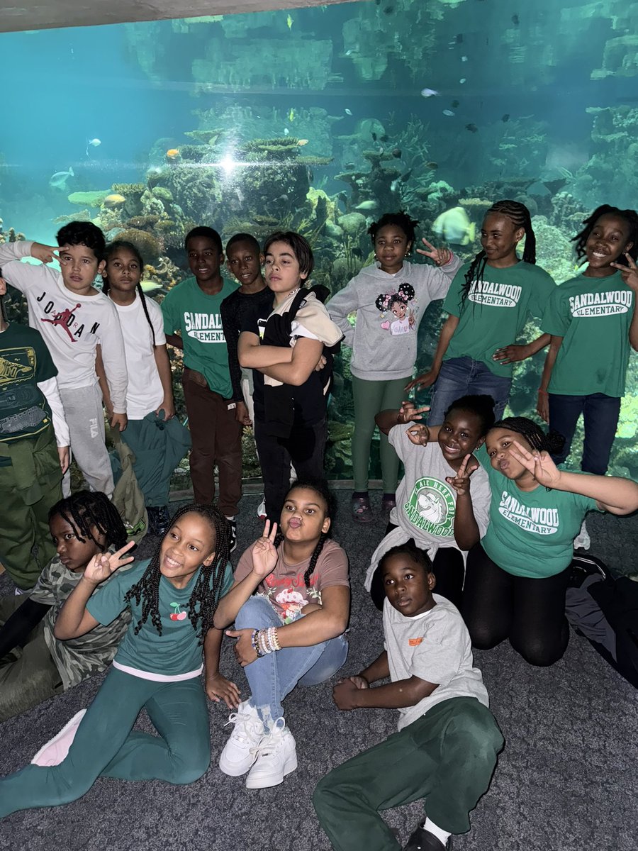 mrsament's tweet image. Yesterday our 4th graders went to the National Aquarium to build background knowledge ahead of their Turtle Trouble Science Unit! #CommunitySchools #enrichment #scienceoflearning