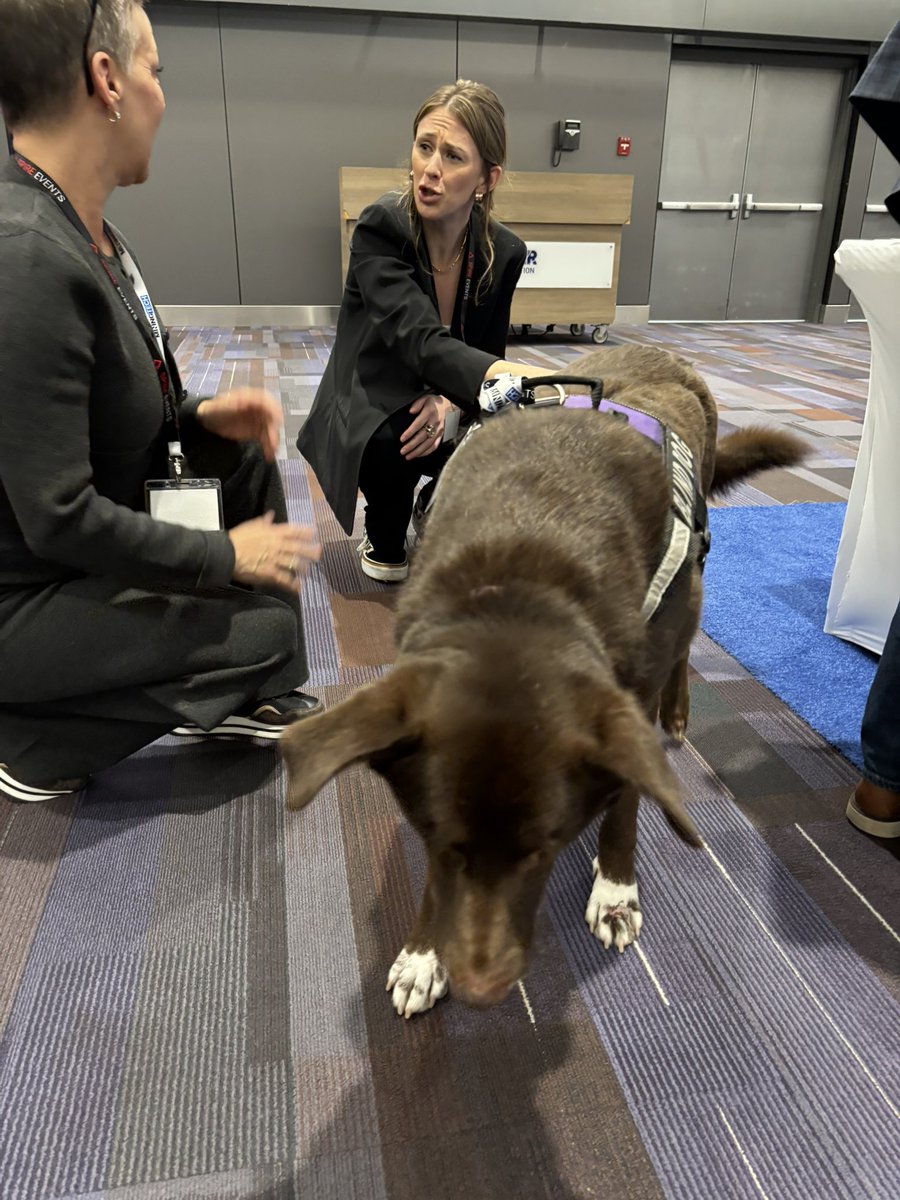 MiningTech1's tweet image. Meet Brownie, our canine delegate here at MiningTech North America Conference &amp;amp; Expo spreading joy with his warmth and affection to our attendees 🐶