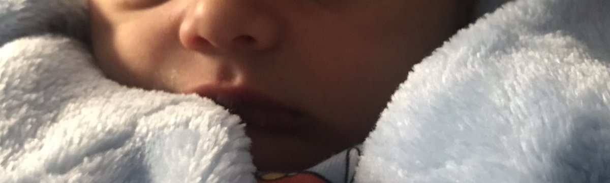 Belén Feduchi Escario 🇵🇸🔻 tweet media