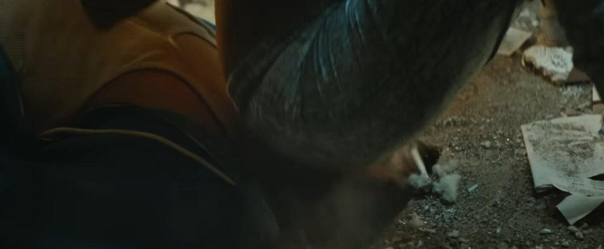 willing and prepared friends 

bought a milady to keep coins company