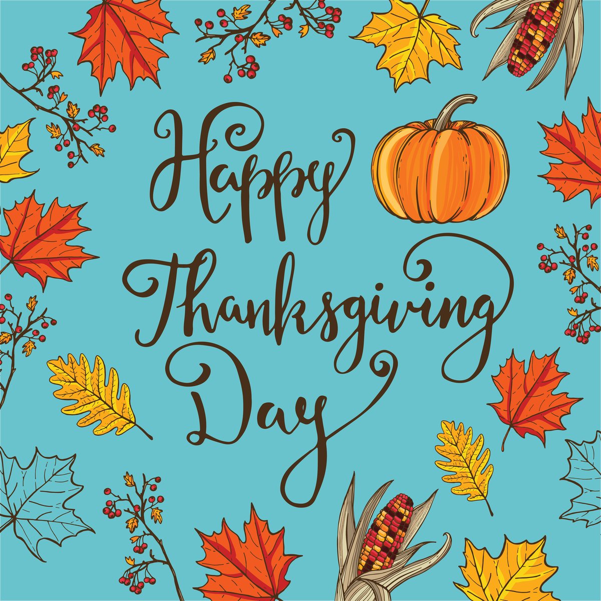 CasaCompanion's tweet photo. Happy Thanksgiving from Casa Companion Homecare and Transport Solutions https://t.co/bxhpcr9x1Z