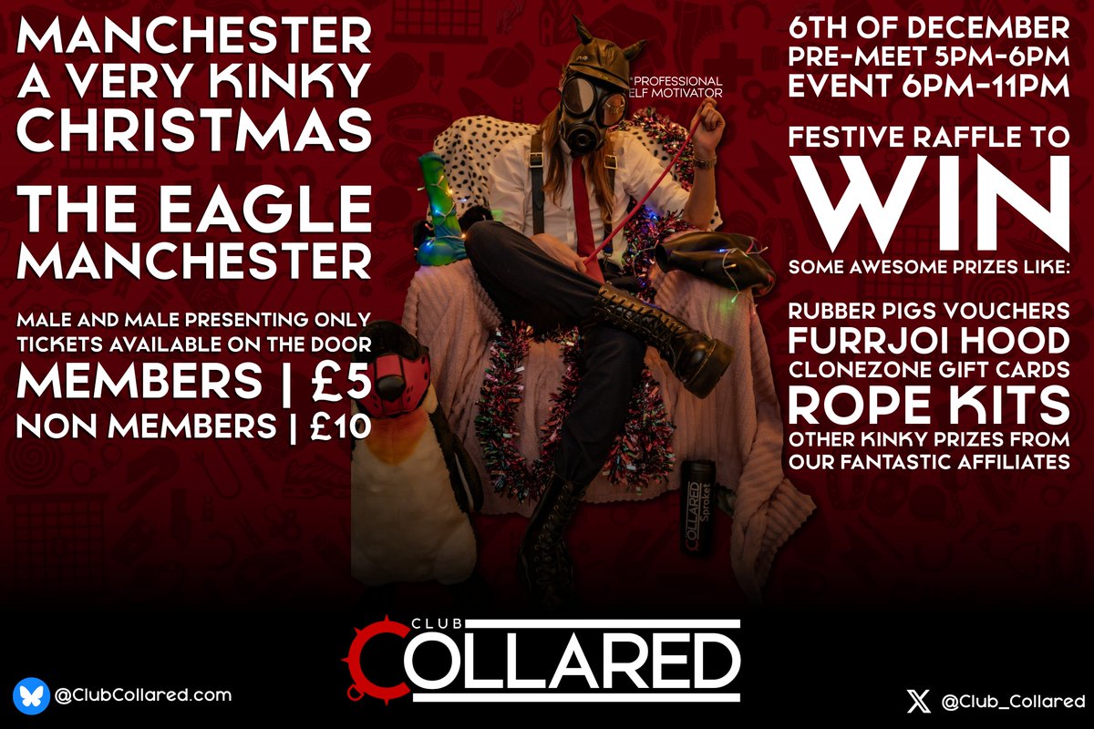 Club Collared tweet media