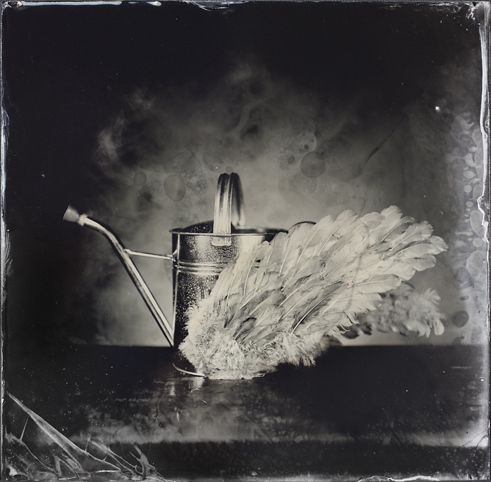 analog_fine_art's tweet image. The Swan by Jean-baptiste Senegas