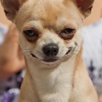 Gabbyedmal's tweet image. From the Ladies Perspective 
After Sleeping with A guy what comes into your stream of thoughts
??