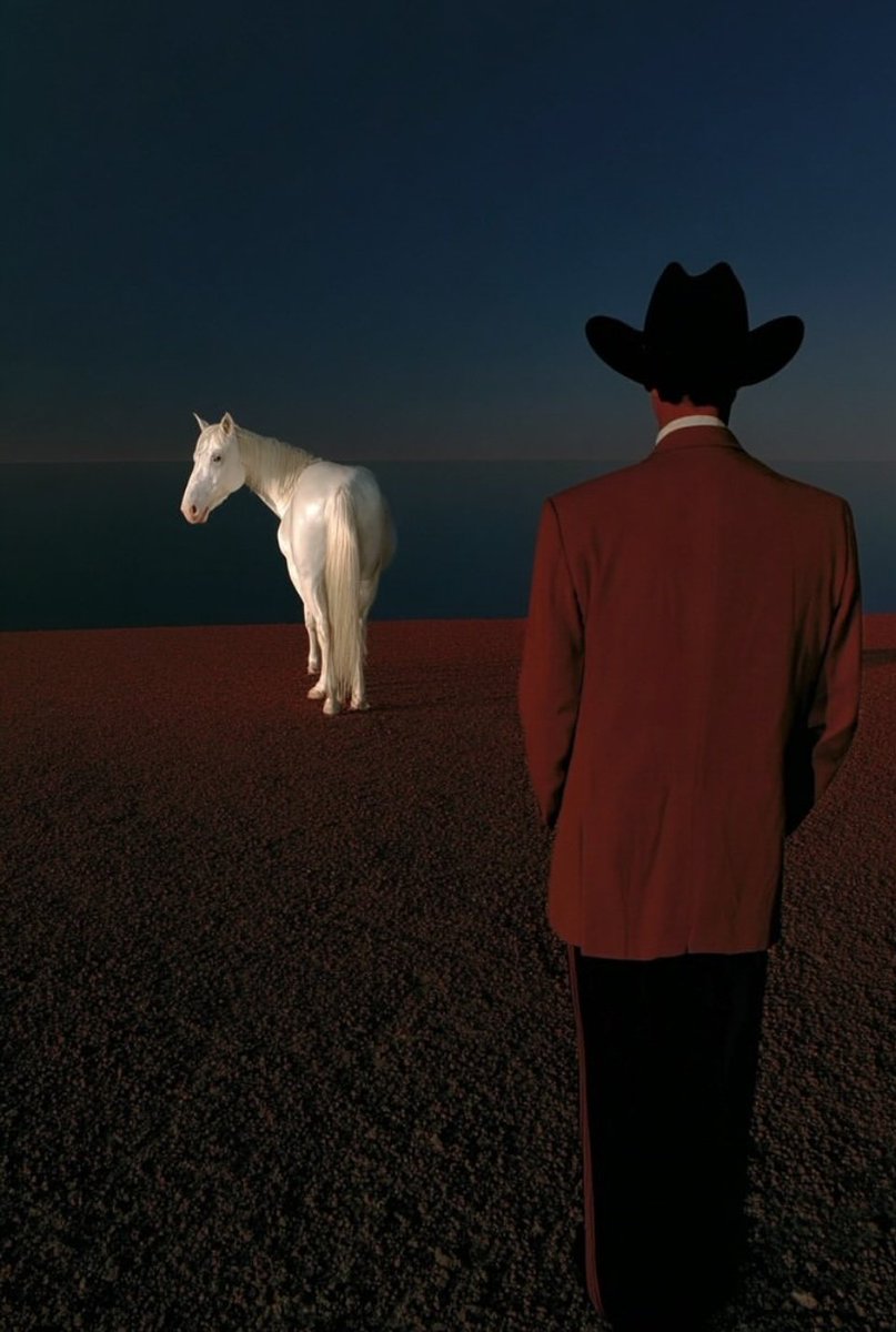 nshanab_'s tweet image. 