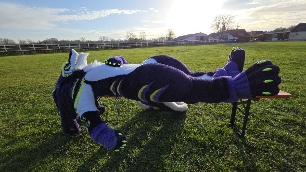 Catching some rays and letting the stress of the week melt away

🎞️🪡 <a href="/whitewingsuits/">Whitewing Creations</a>

#Sergal #Cheese #Fursuit #Furry #Furryfandom #Fursuiting #FursuitEveryday #FursuitFriday