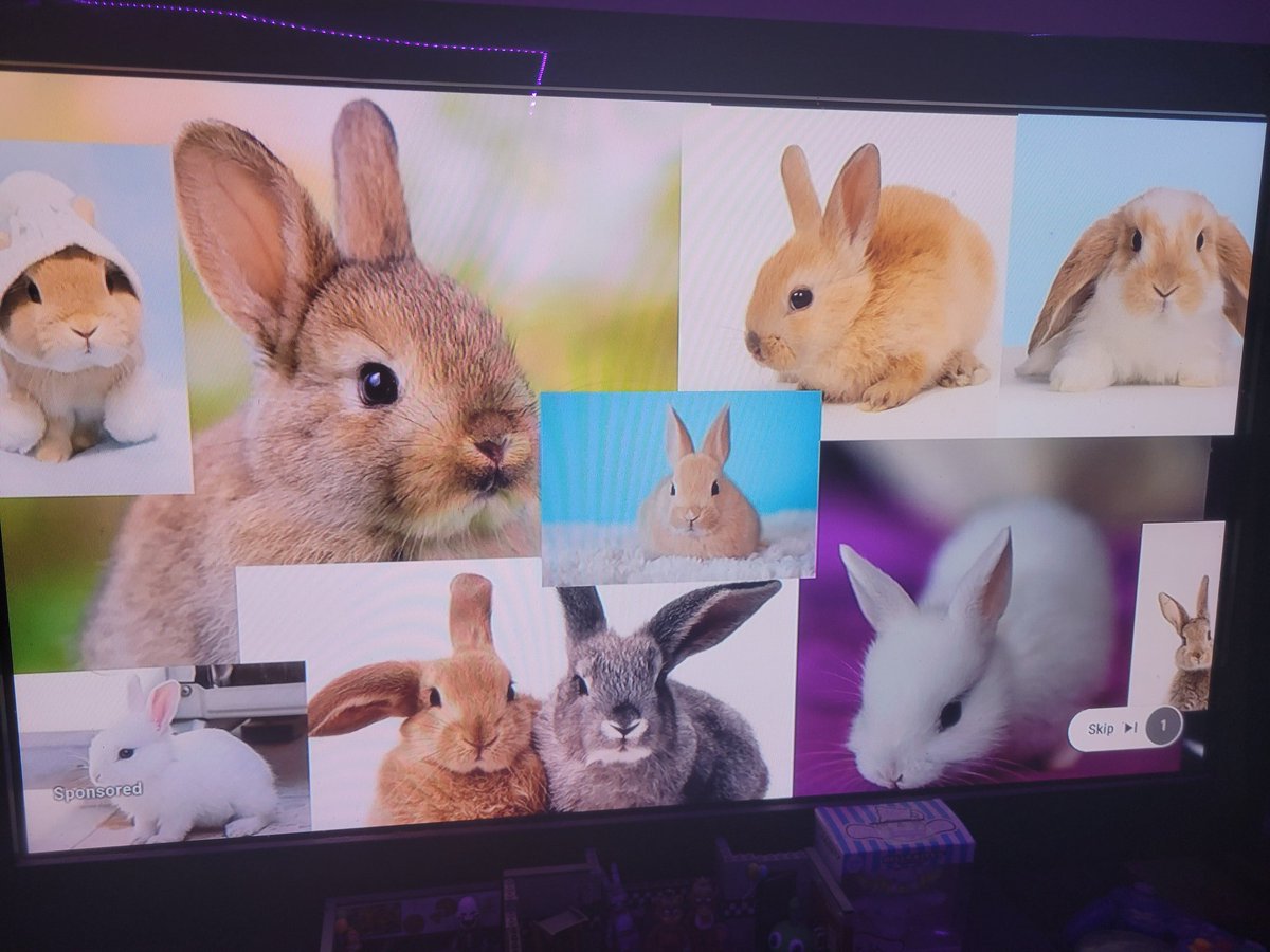 hikki_hitori's tweet image. i got this ad last night and watched every second of it