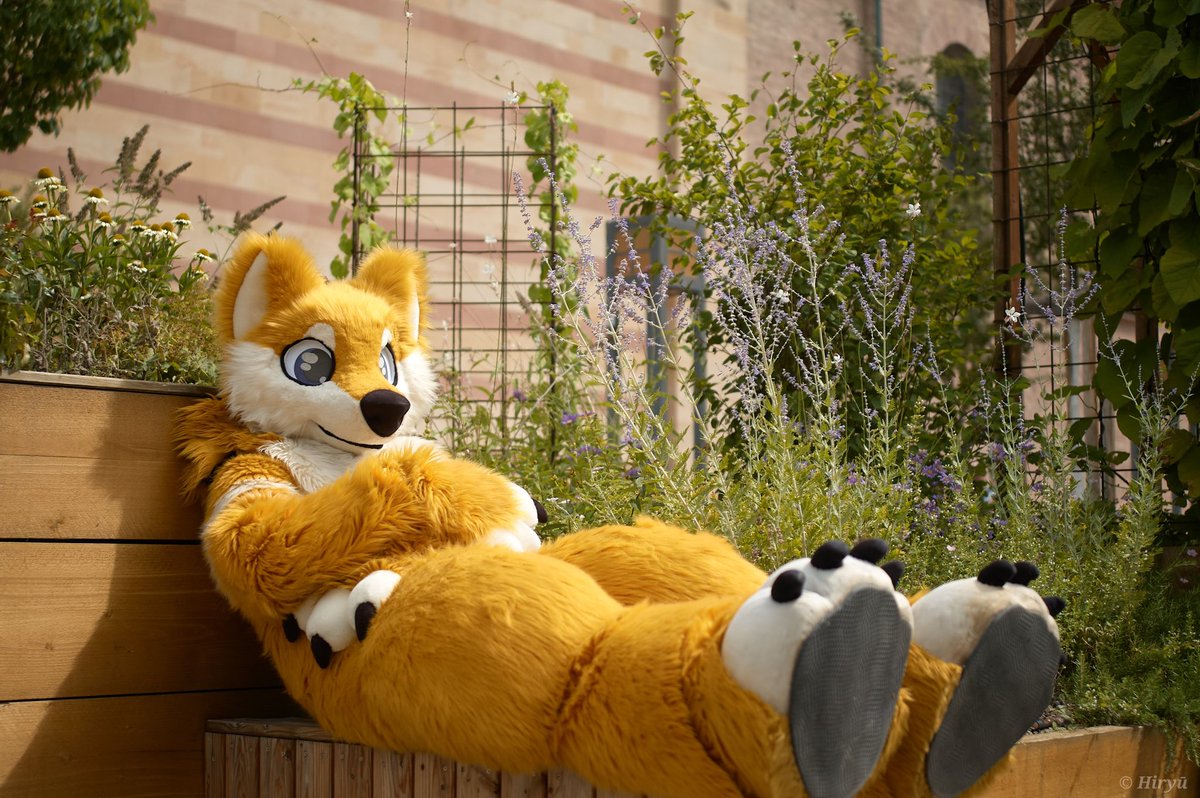 Happy #FursuitFriday!
📸 <a href="/HiryuTheDragon/">Hiryū</a>