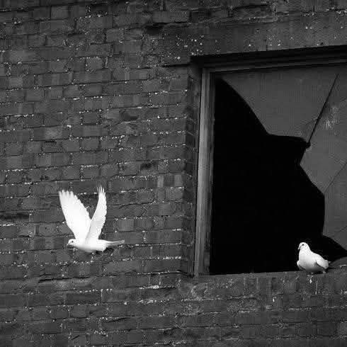 اليوم 24 tweet media