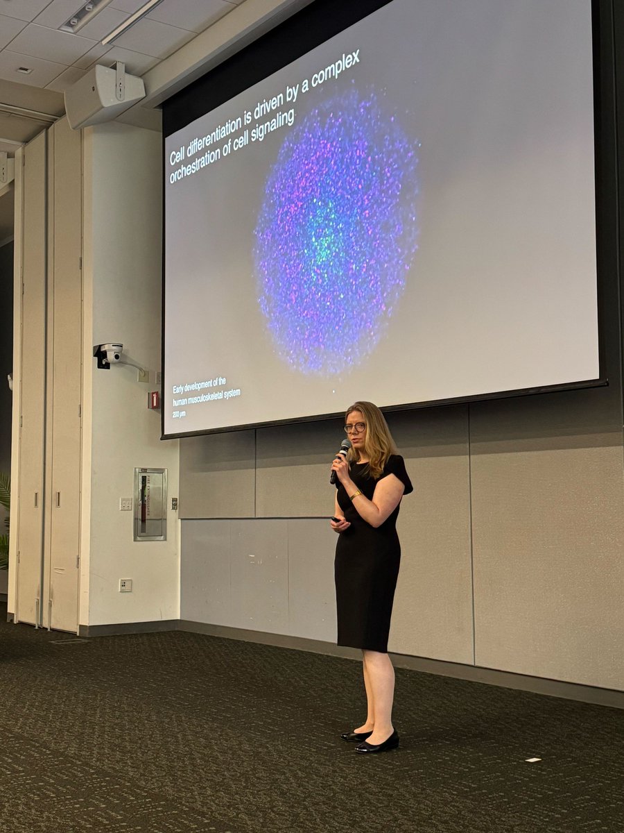 CellularIntelHQ's tweet image. Our VP of Strategy, @SamanthaDStrass, joined the @scverse_team conference to share our work on building a virtual cell signaling model rooted in human development. The engagement that followed was incredible.

Excited to keep pushing the field forward.