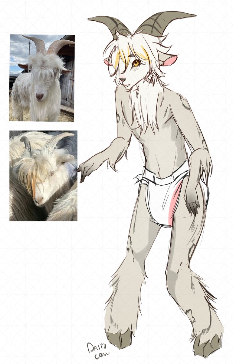 anci_ci's tweet image. Padded goat 
Just a little cutie