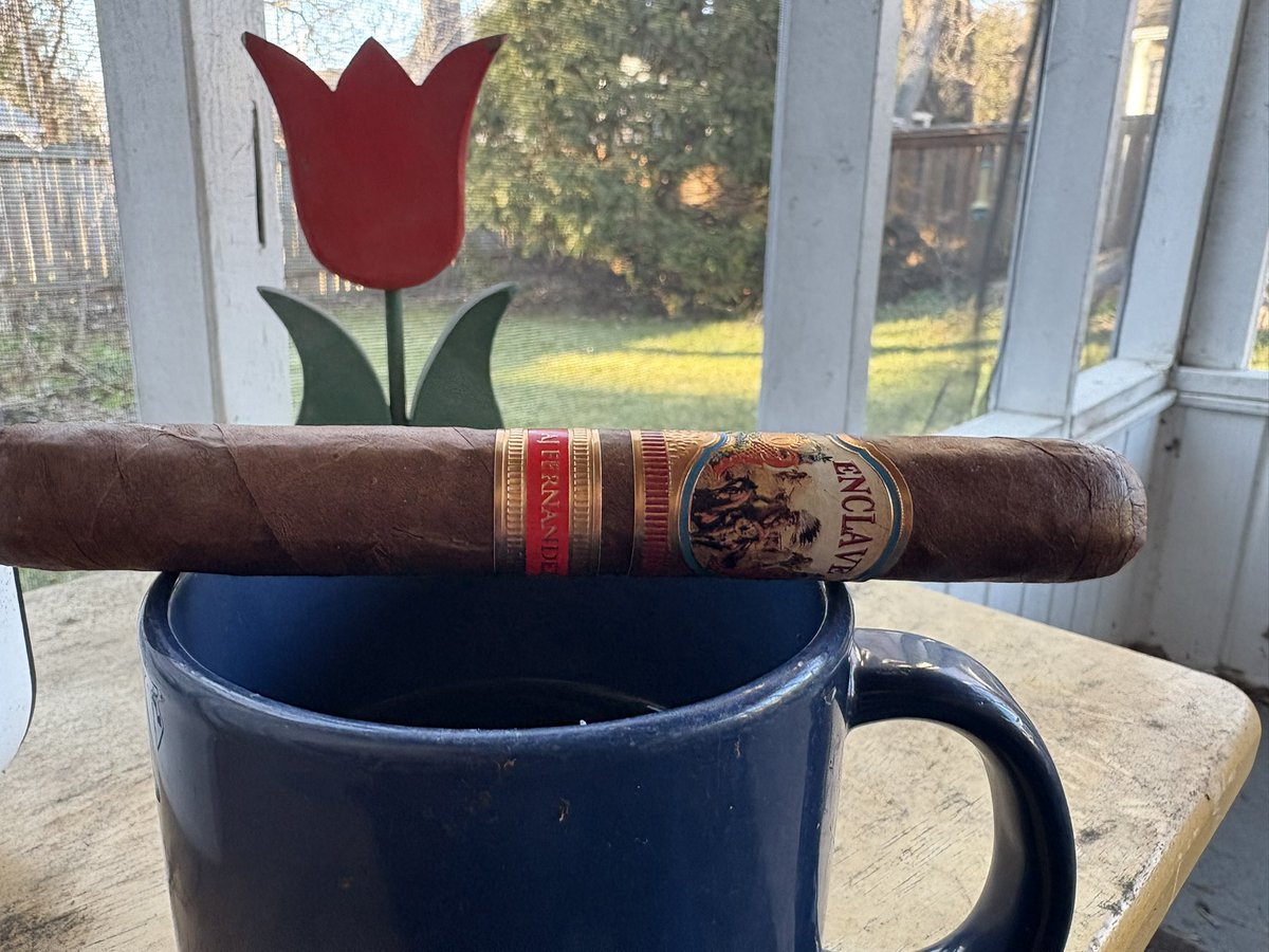 sigurdson_chris's tweet image. Friday afternoon in the veranda, hard to believe it’s almost the end of November