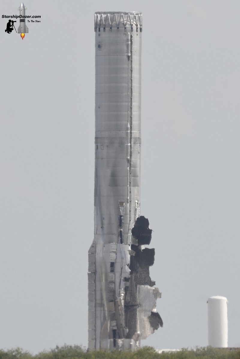 Starship Gazer tweet media