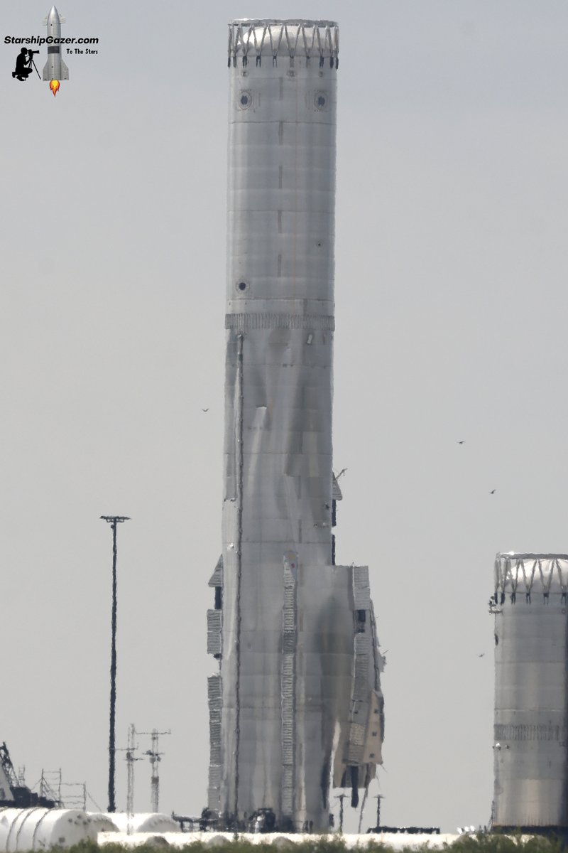 Starship Gazer tweet media